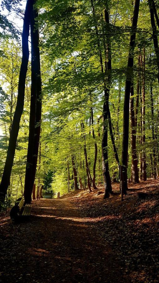 Gaestehaus Schu Marpingen Exteriér fotografie